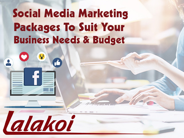Professional Social Media Marketing