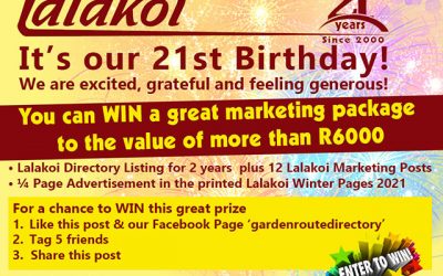Win a Lalakoi Business Marketing Package